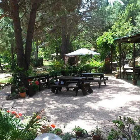 Osalla Garden Bungalow キャンプ場 オロゼーイ