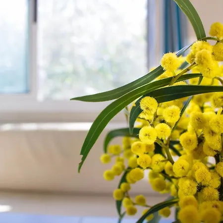 Osalla Garden Bungalow キャンプ場 *